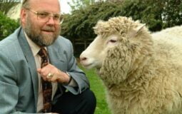 Morre Ian Wilmut, cientista que criou a ovelha clonada Dolly